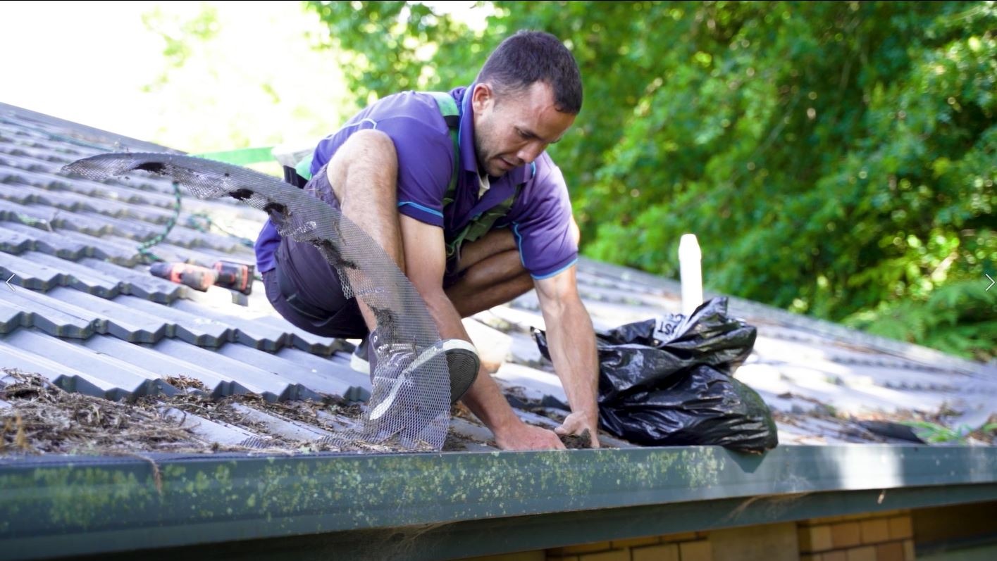 Gutter Cleaning