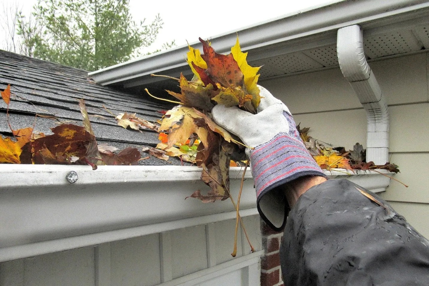 Gutter Cleaning Services