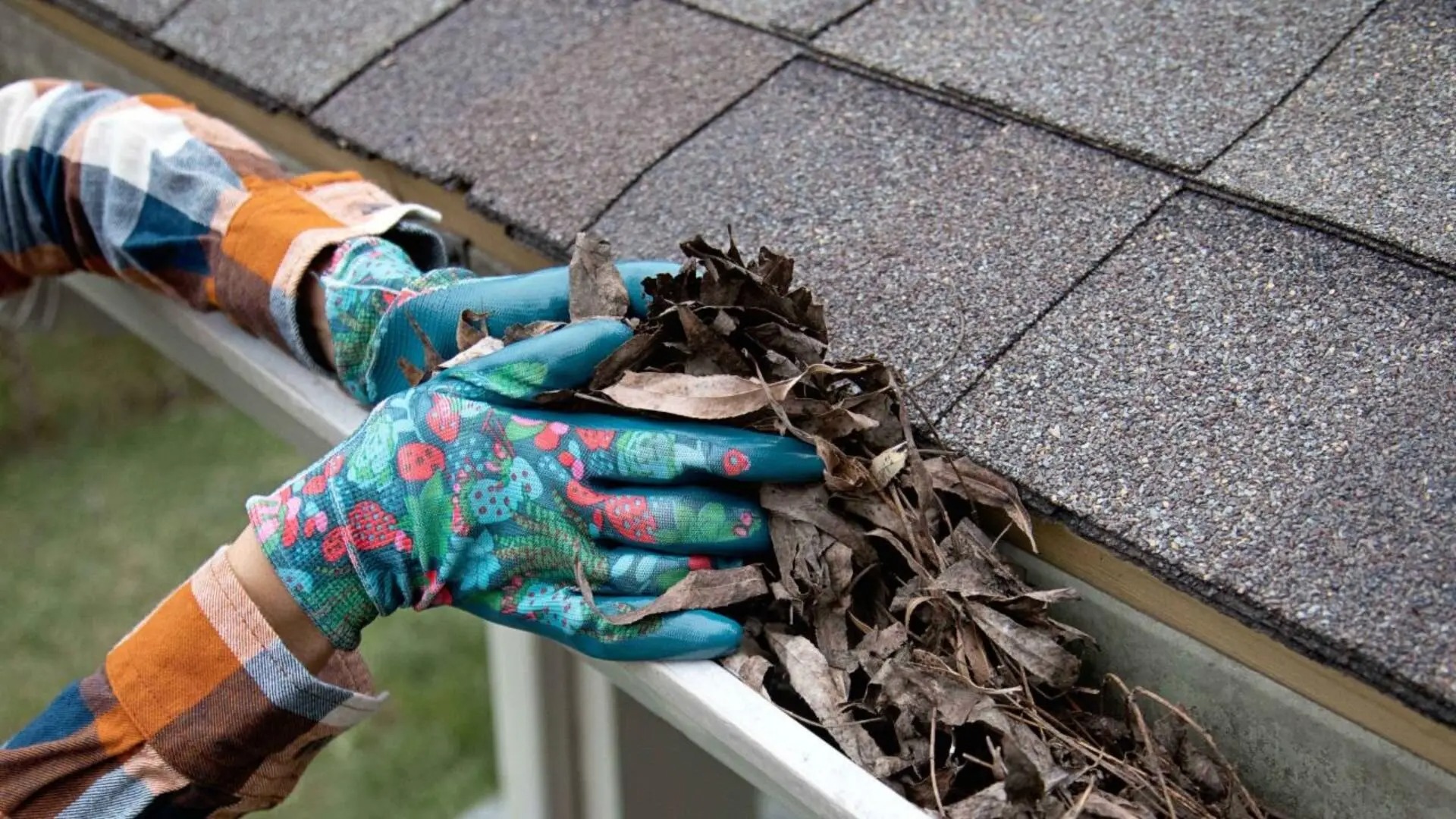 Gutter Cleaners