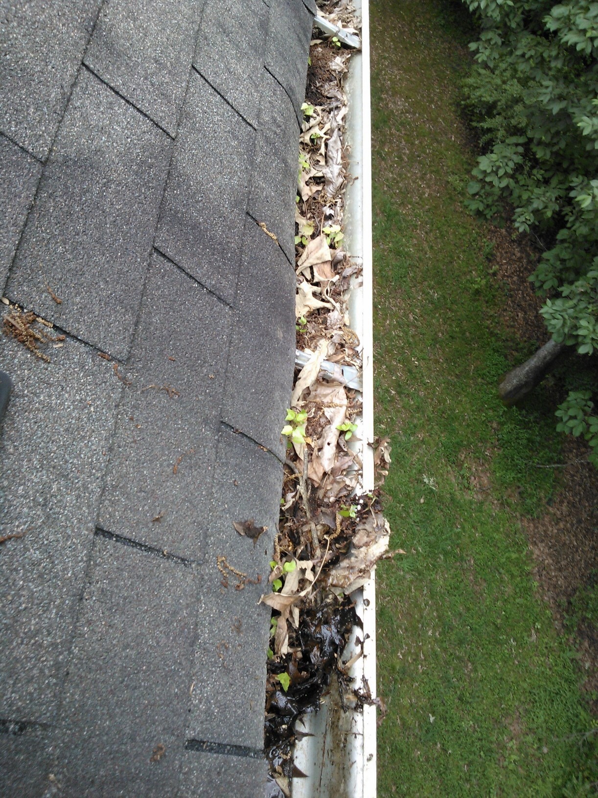 Gutter Cleaning