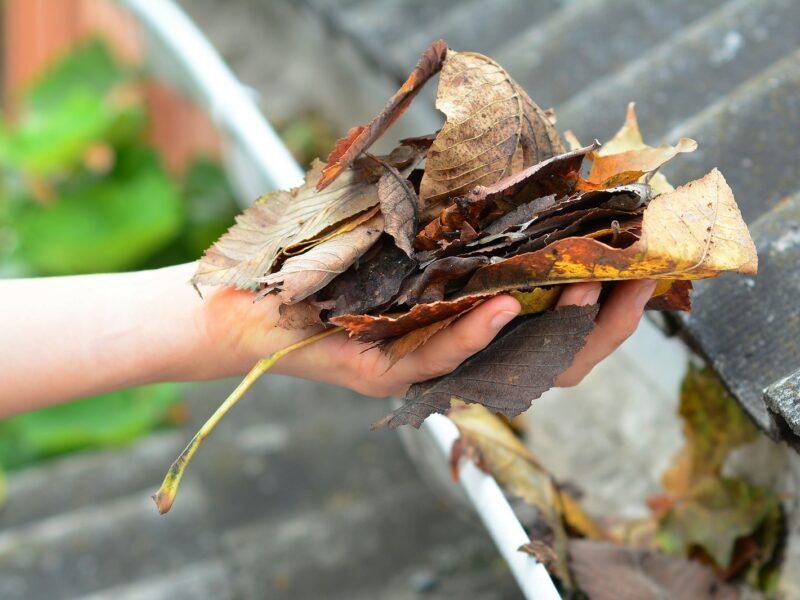 Gutter cleaning