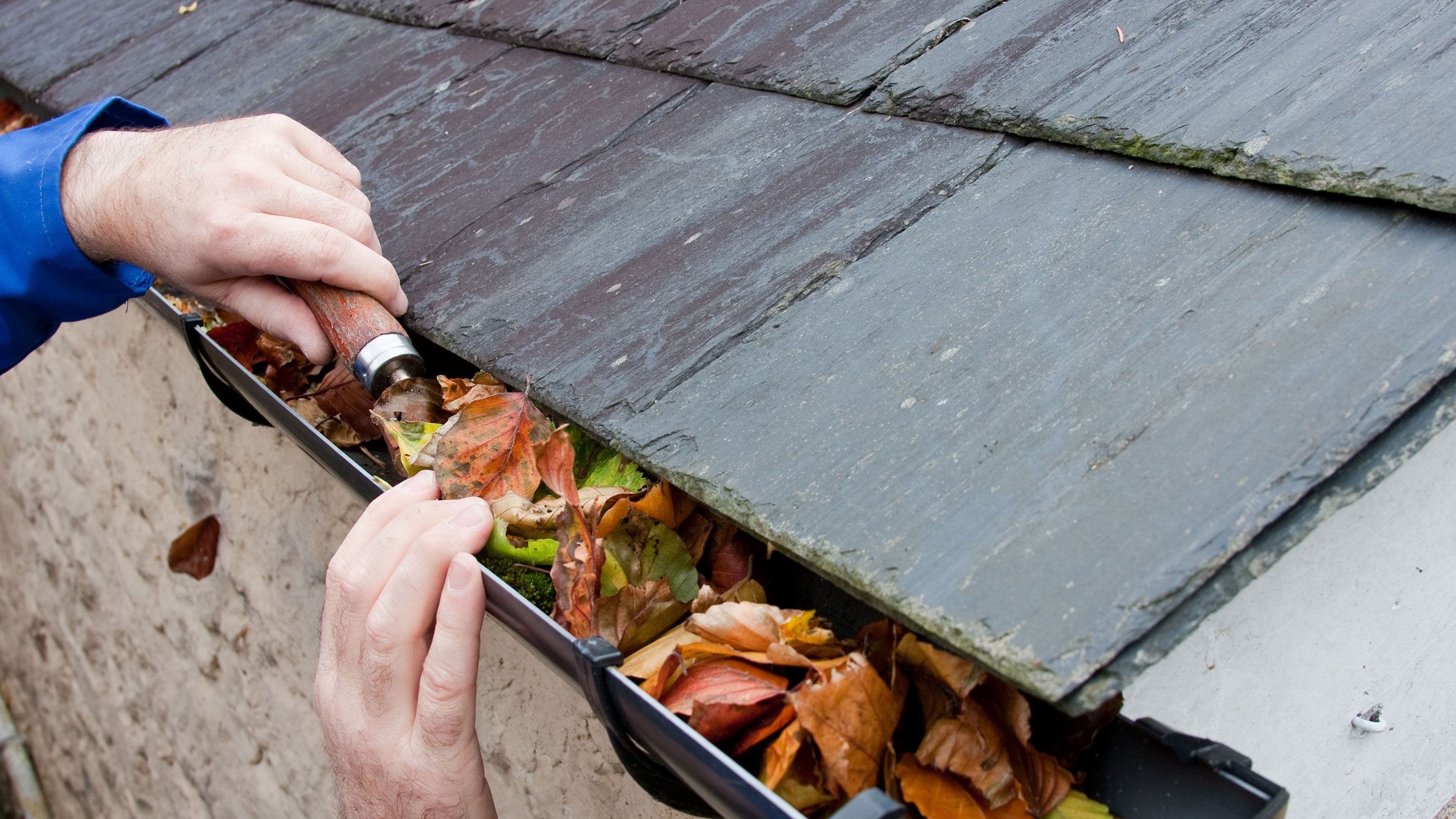 Gutter Cleaners