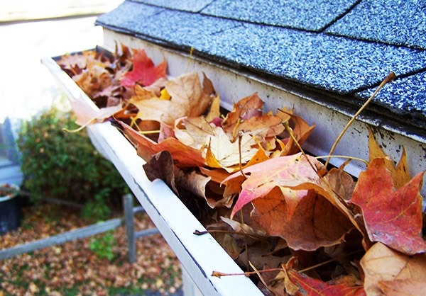 Gutter Cleaning Services