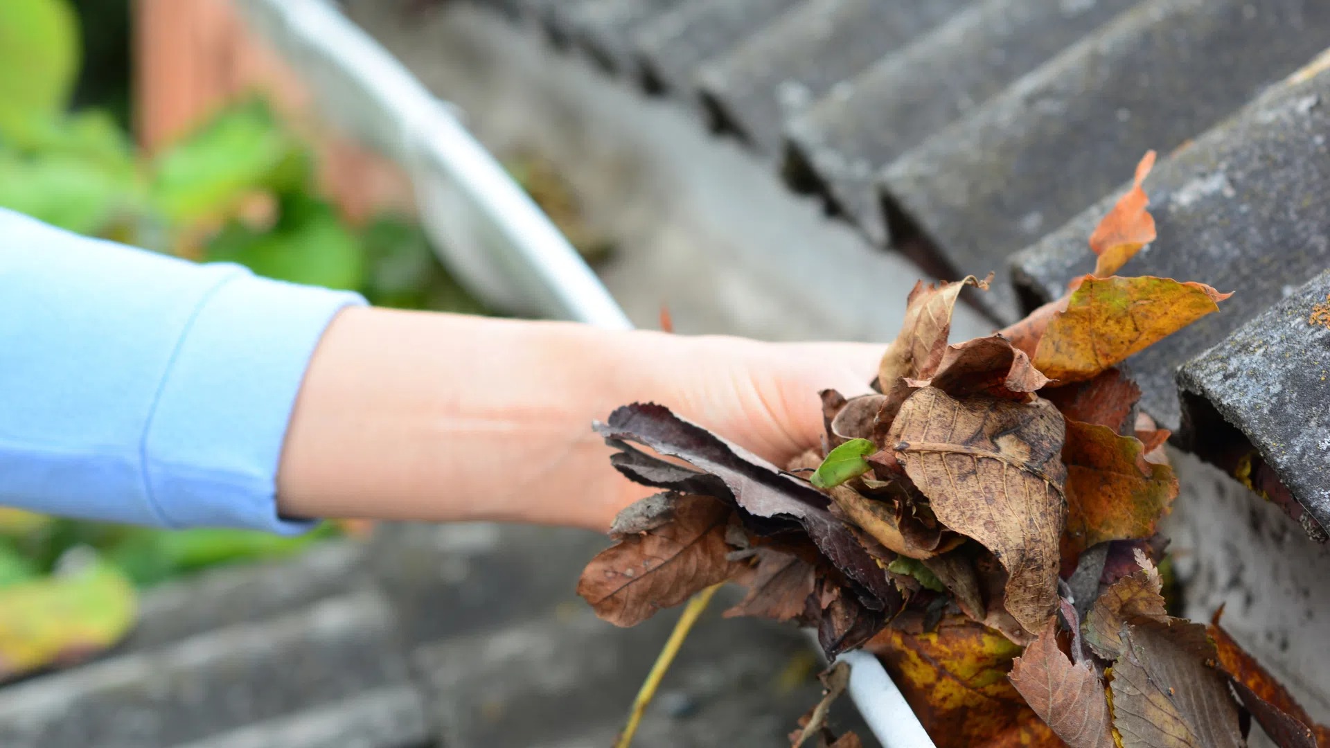 Gutter Cleaning Services