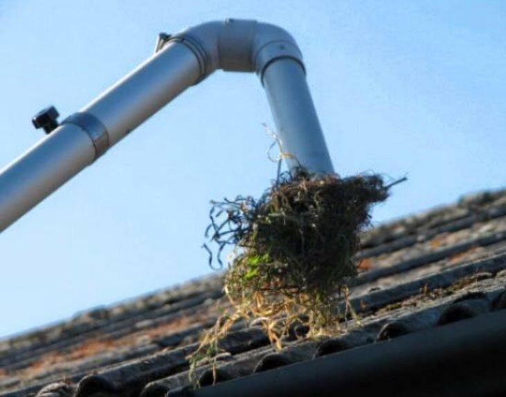 Gutter Cleaning