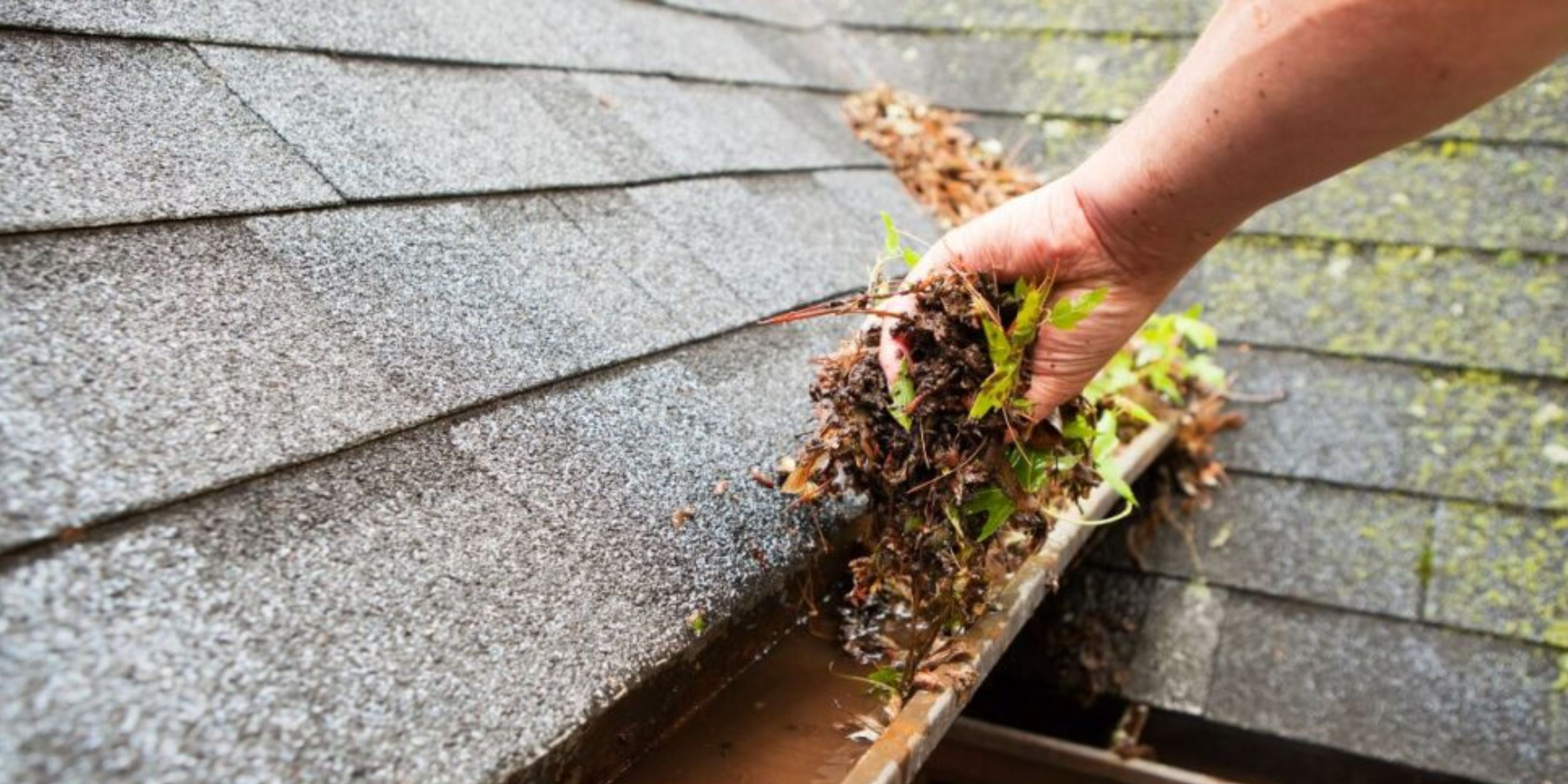 gutter cleaning maroubra