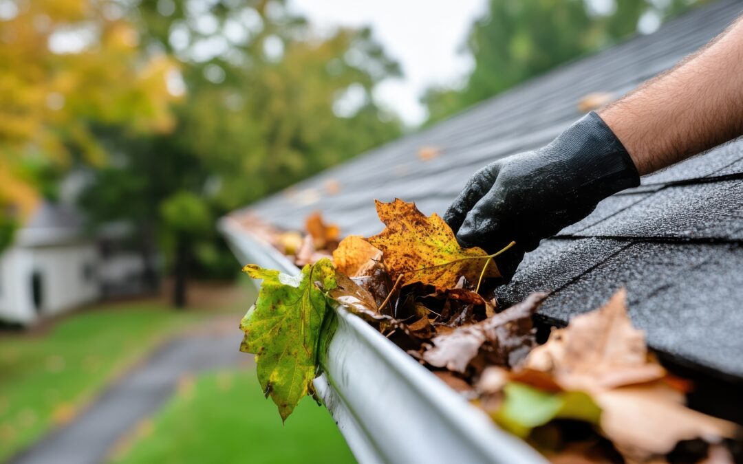 Gutter Cleaning Services