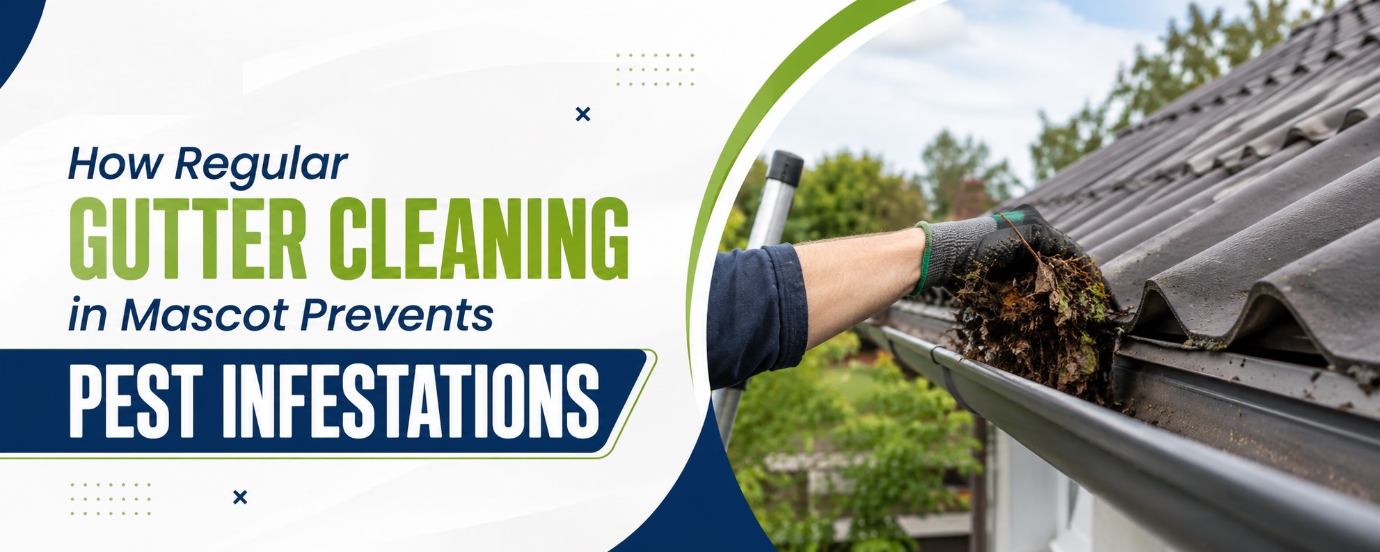 Gutter Cleaning