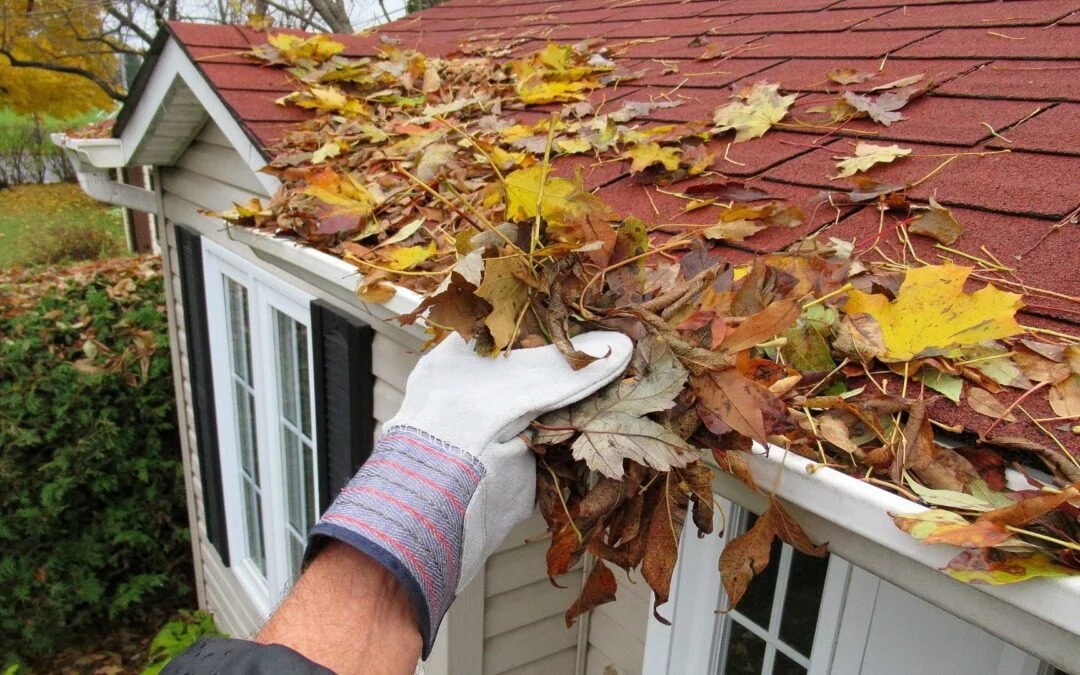 Gutter Cleaners
