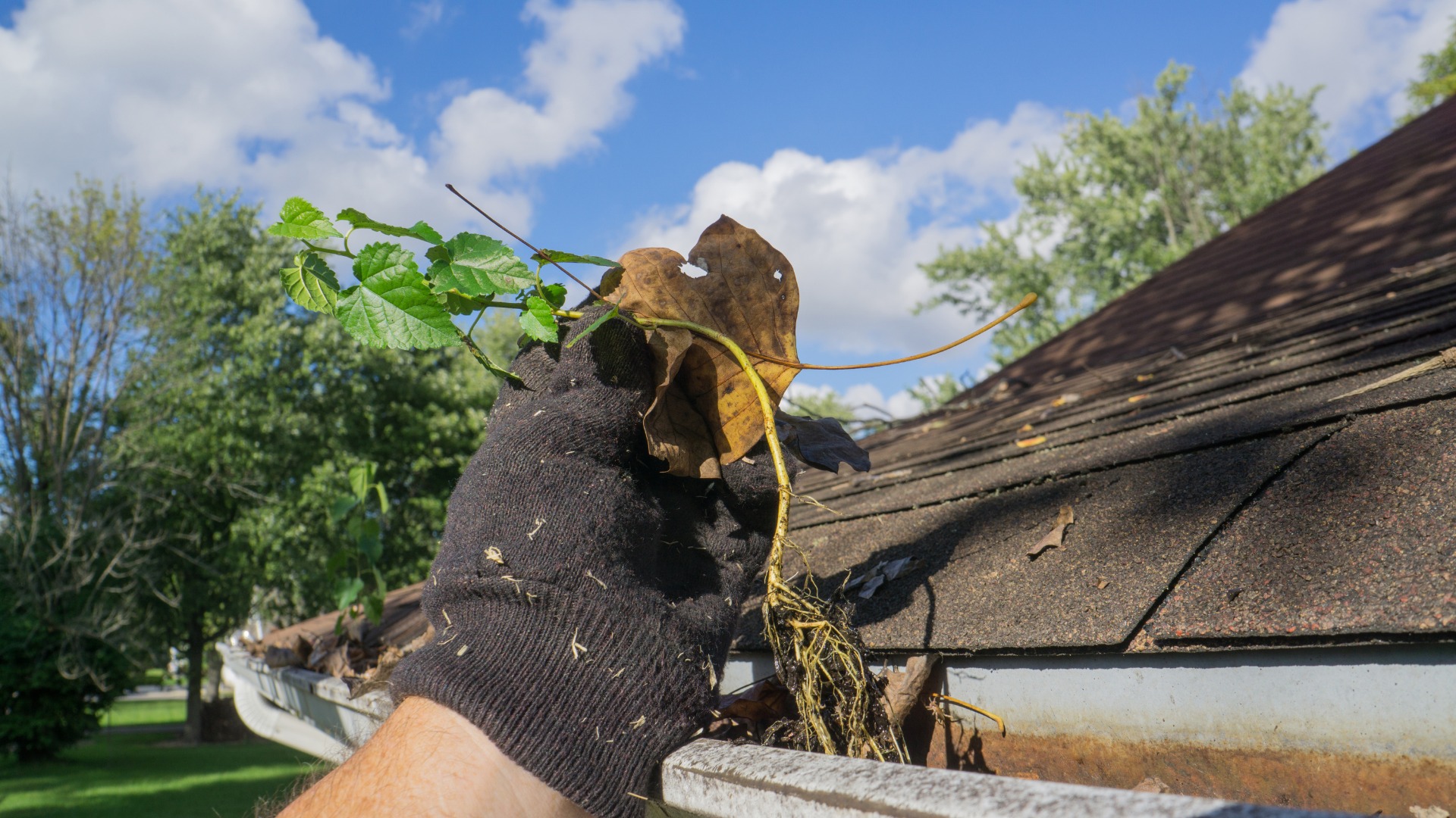 Gutter Cleaning