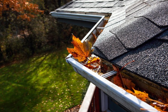 Gutter Maintenance