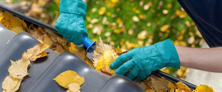 Gutter Cleaning