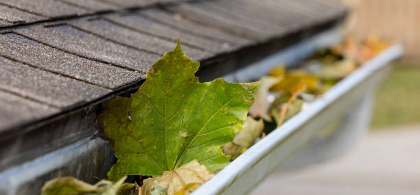 Gutter Cleaning